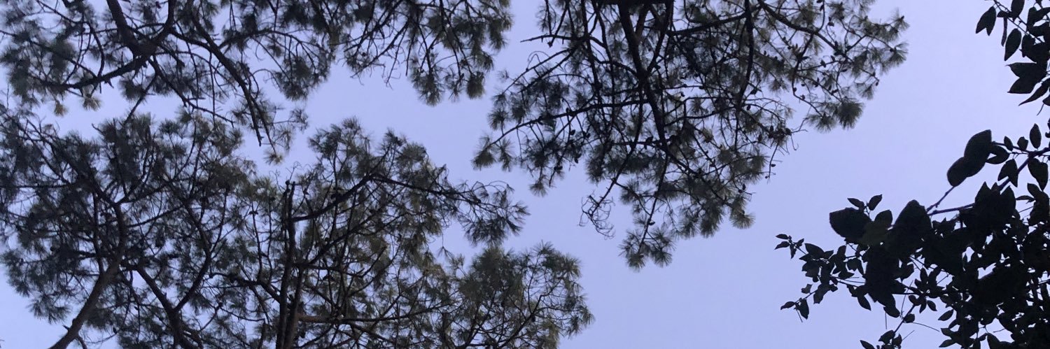 EmilieKovacs's profile banner image