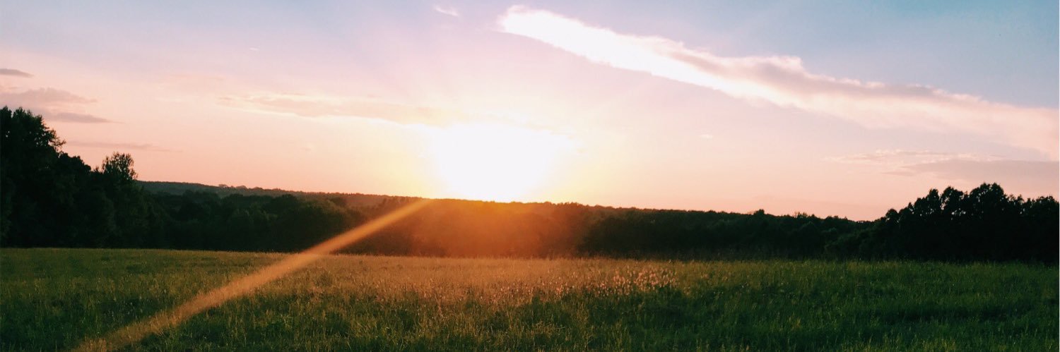 haleycooper523's profile banner image