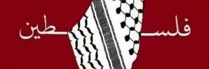 HamidMhm's profile banner image