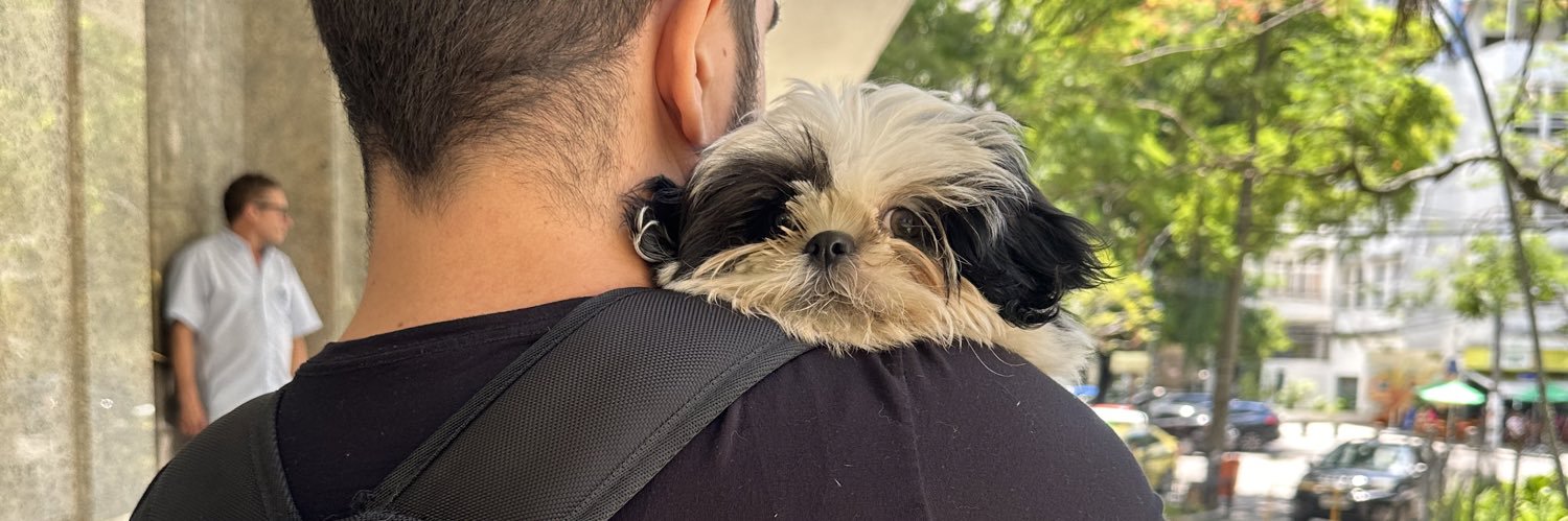 Palhaço Full Stack banner