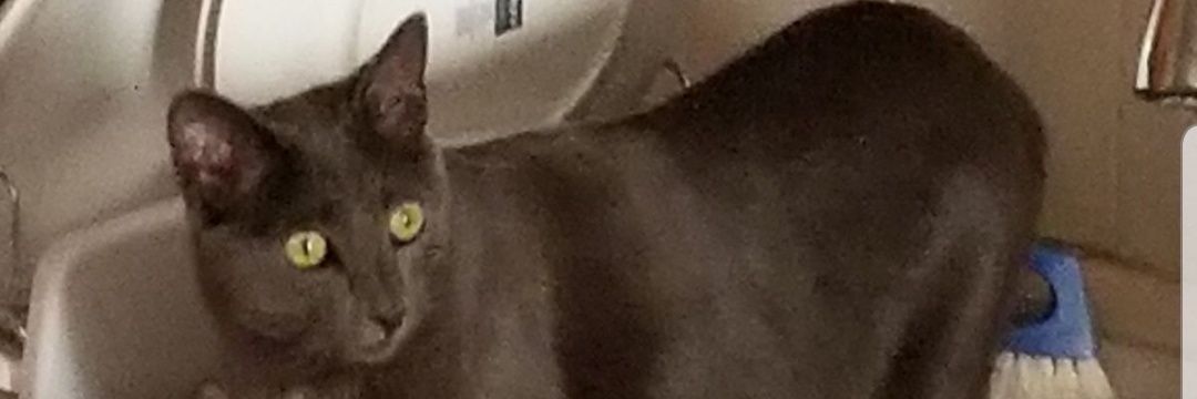 EvanKavan's profile banner image