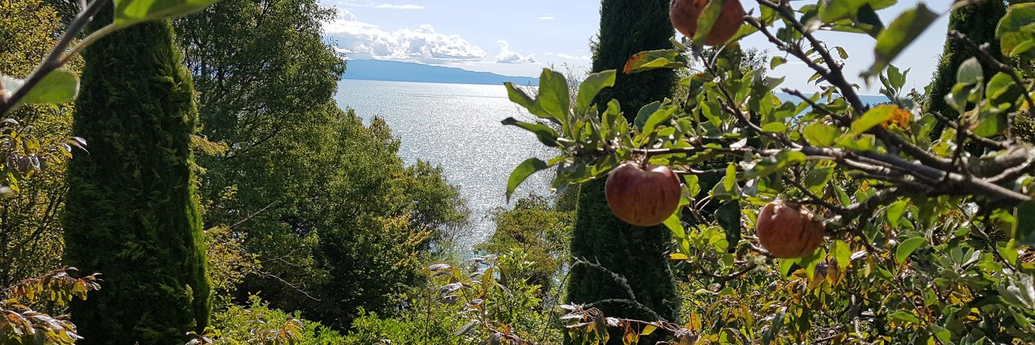 Andrew Meffan banner