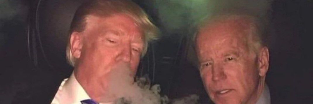 Fernand￳￳o banner