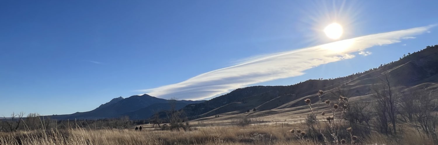 LizzieJ🇳🇿 banner