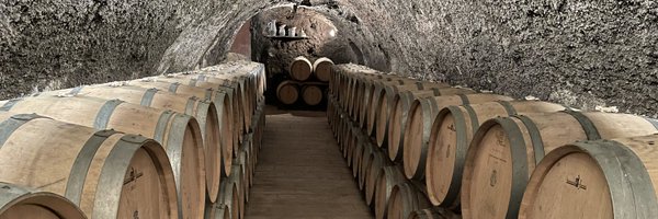 maarteneekels Profile Banner