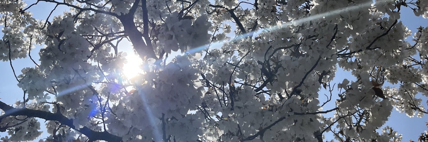 yuunatan's profile banner image