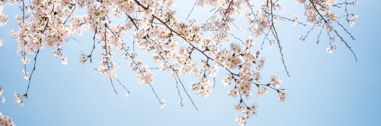 hano202115's profile banner image