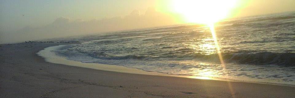 LizabethAnne28's profile banner image
