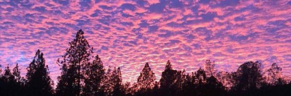 Gabriel Barra banner