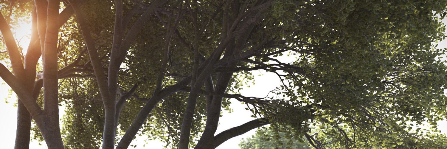 mpassosviz's profile banner image
