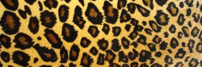 michellereed's profile banner image