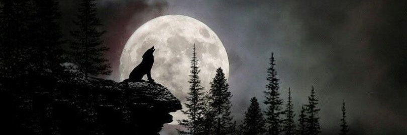 El que parece Rockstar banner