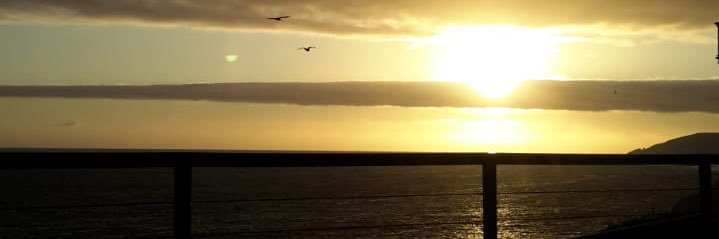 lbasmahm's profile banner image