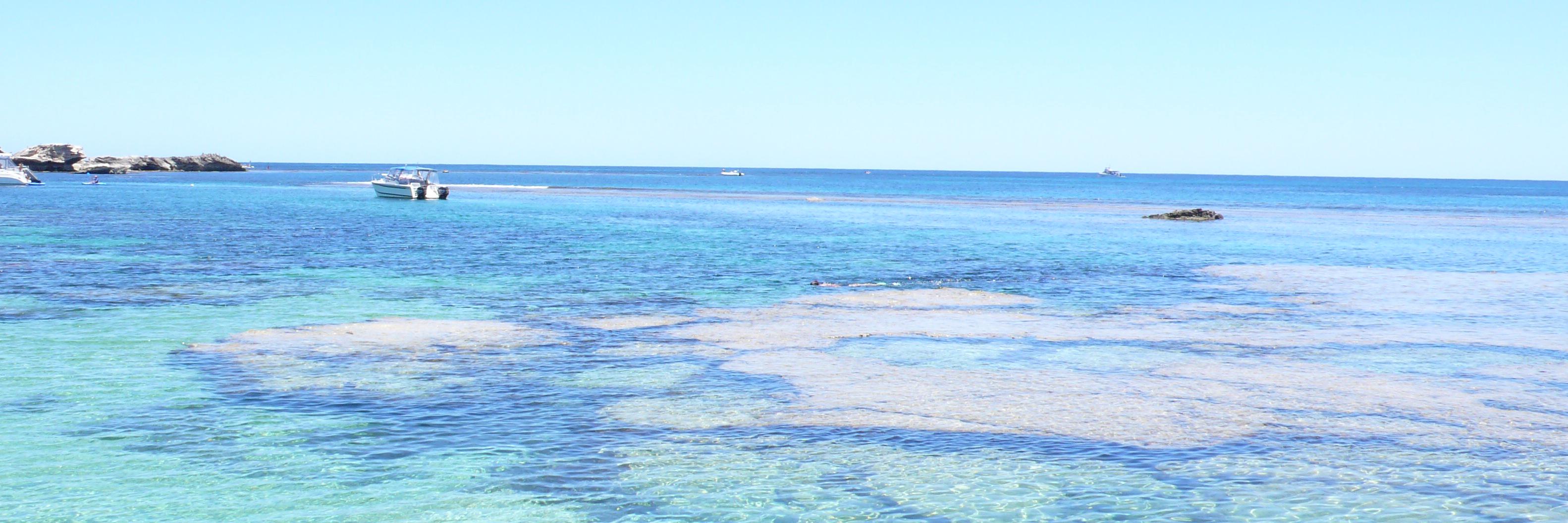 神宮司治（レミオロメン） banner