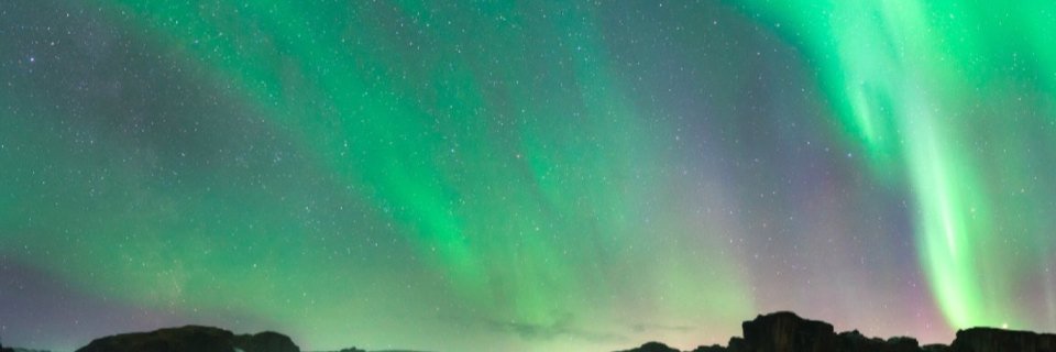 LynAunt's profile banner image
