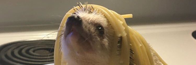 Andy Kilinskis banner