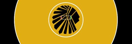 Watkins Girls Wrestling banner