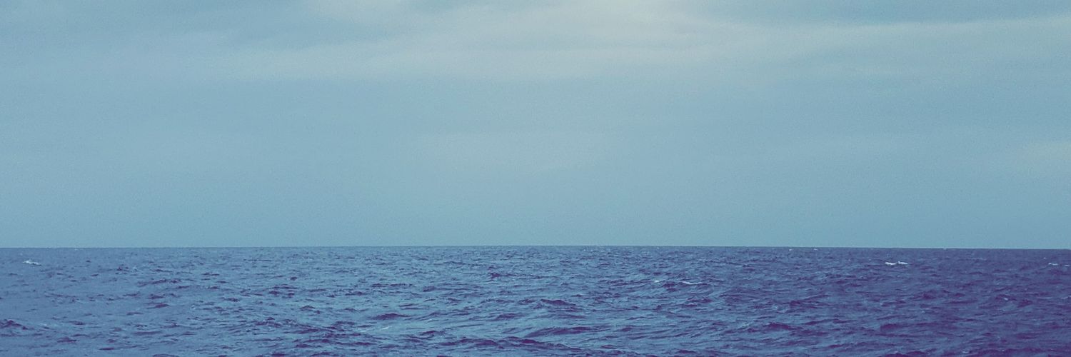 NAIF_b1's profile banner image