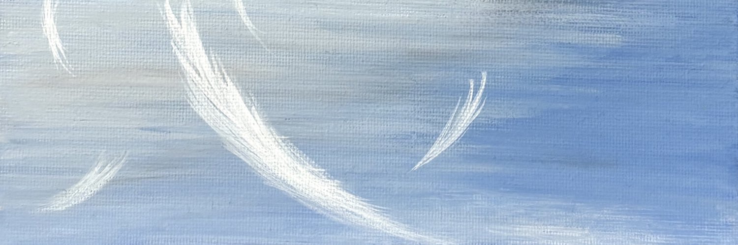 anaimariko's profile banner image