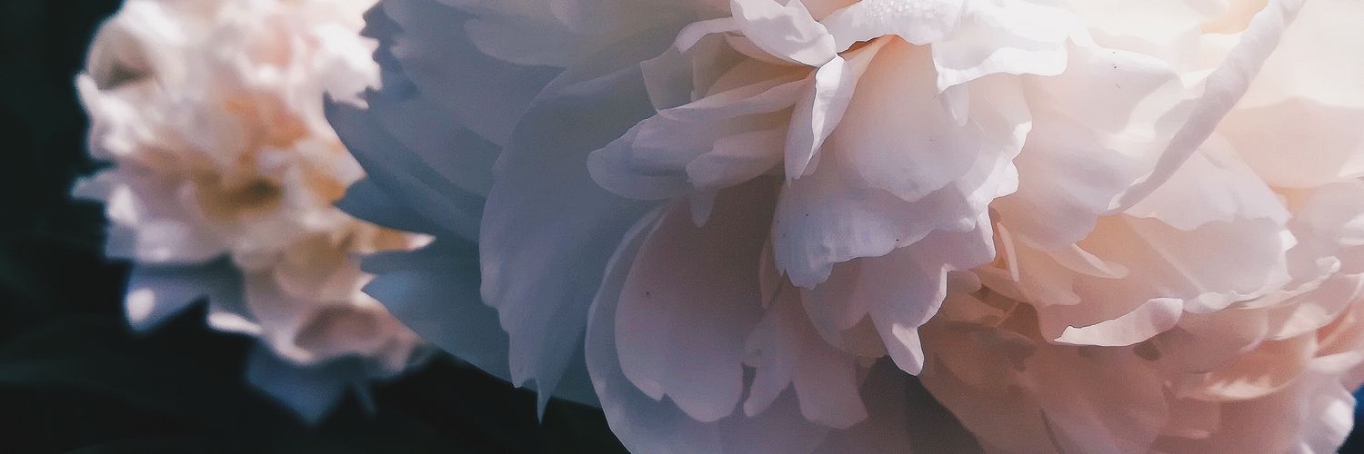 Loshochek's profile banner image