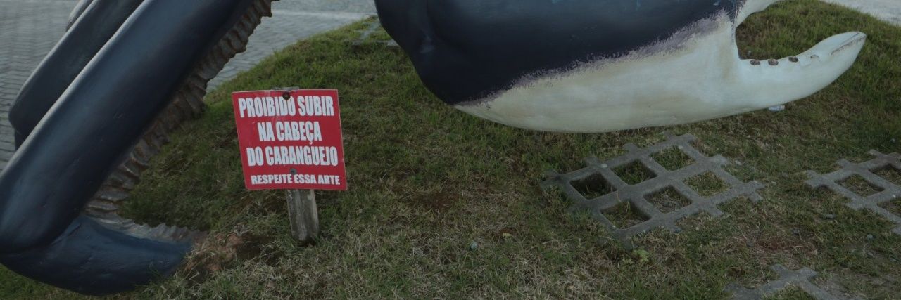 savajpeg's profile banner image