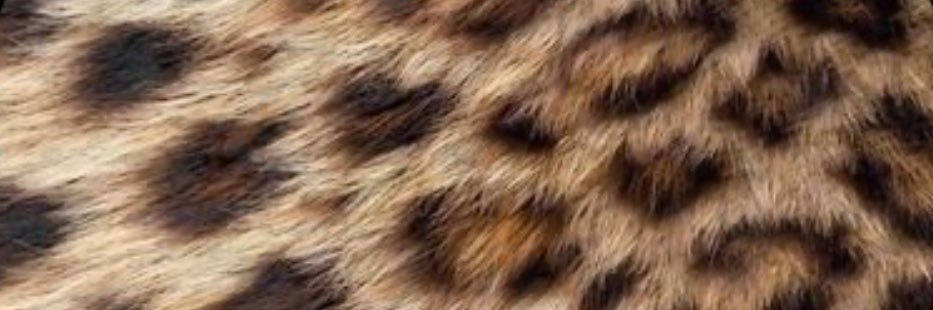 _elbarf's profile banner image