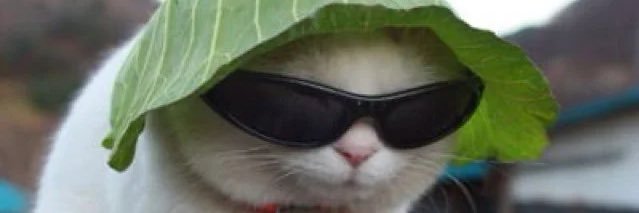 Flavorfabe_'s profile banner image