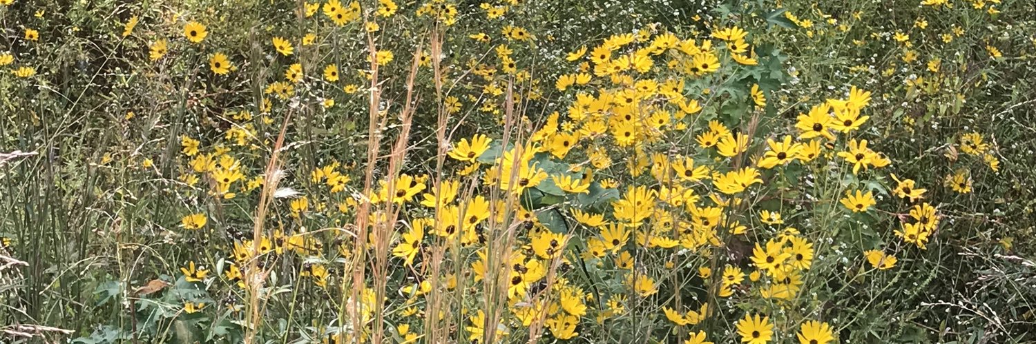 Christy’s Corner banner