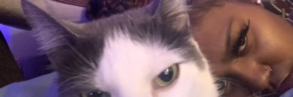 BrizzlePack's profile banner image