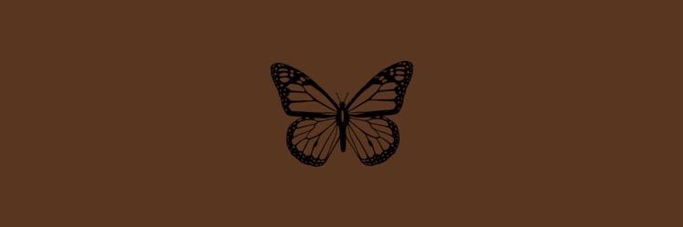 norahftay's profile banner image