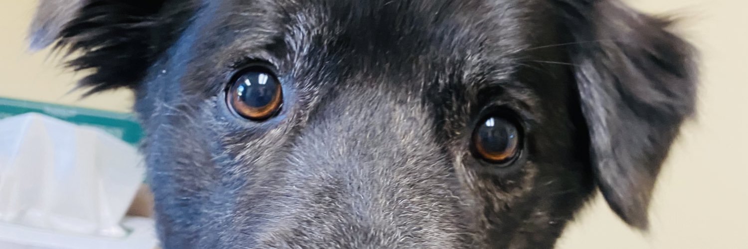 KenzieRjones_'s profile banner image