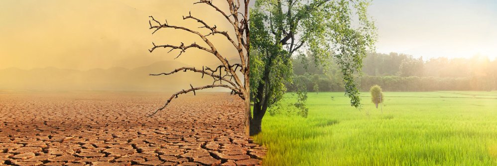 The Paddy Ashdown Forum banner