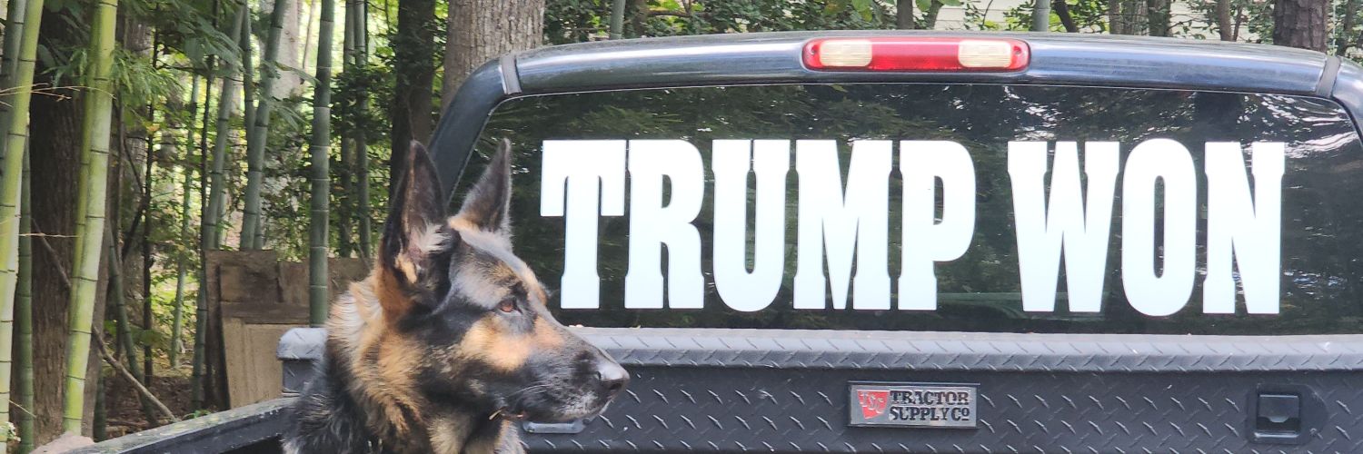 American Sovereignty banner