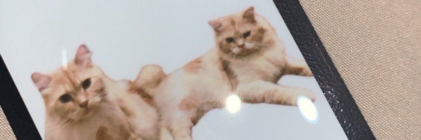 nabilawuri's profile banner image