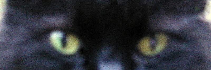 Burtzr's profile banner image