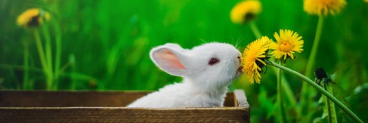 PaulineGruson's profile banner image
