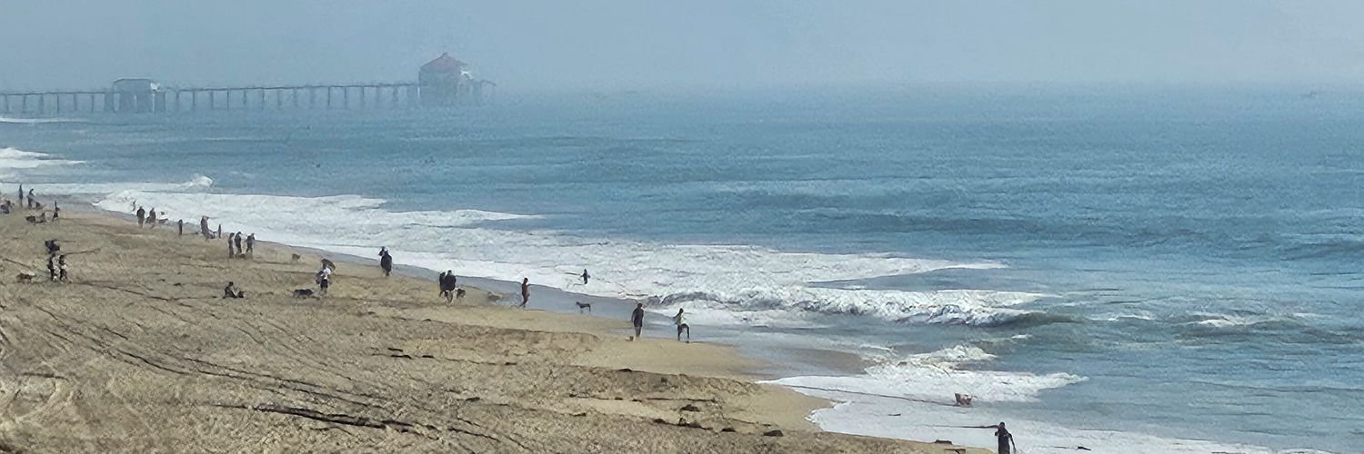 E / R / J 🎨 banner