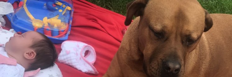zakhogan's profile banner image