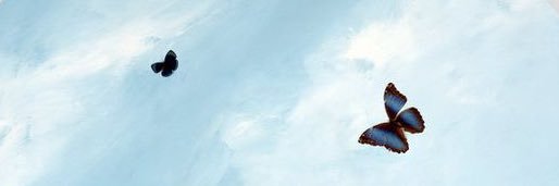 f_almxx's profile banner image