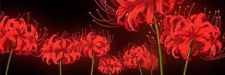 ML_VampKing's profile banner image