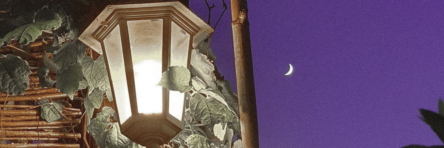 Berta 🌙 banner