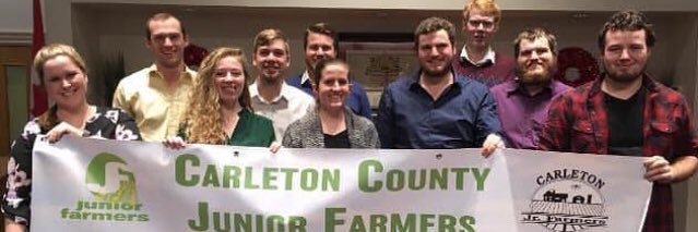 carleton_jf's profile banner image