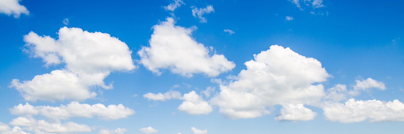 林 banner