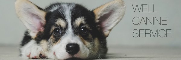 WScorgikennel Profile Banner