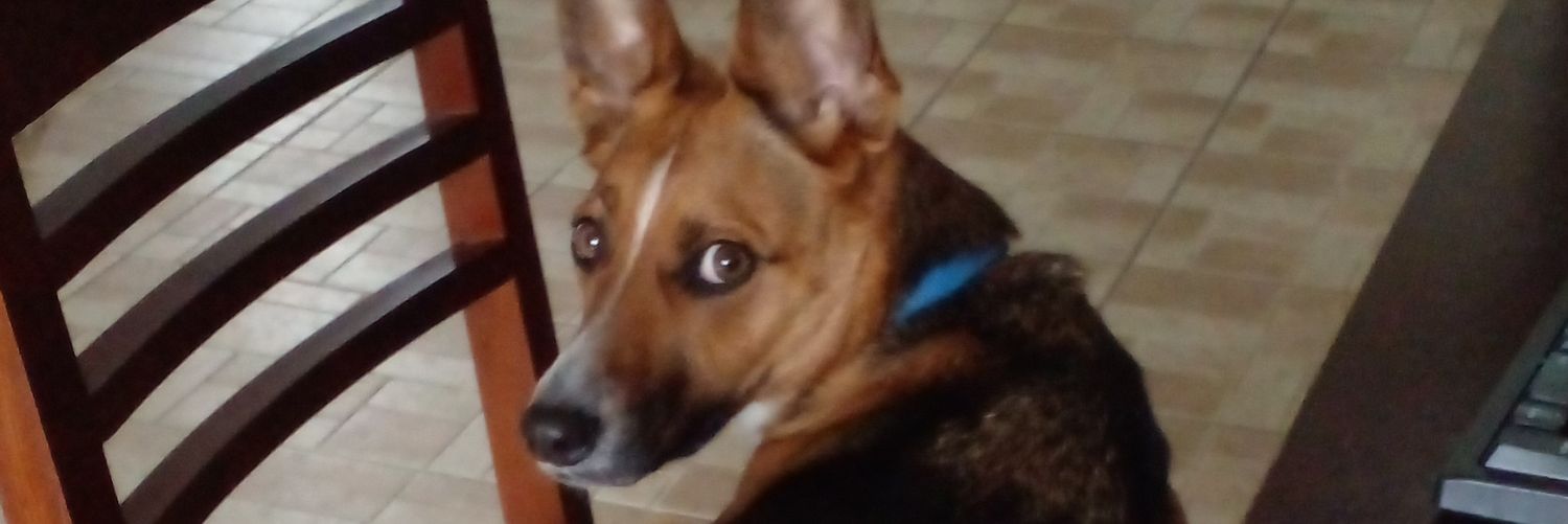 disidir_'s profile banner image