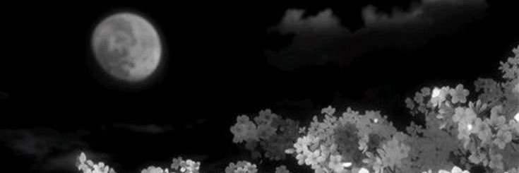 hasuflo's profile banner image