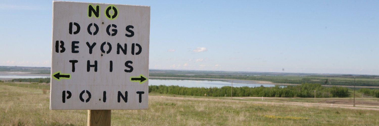Captain Sideburns banner