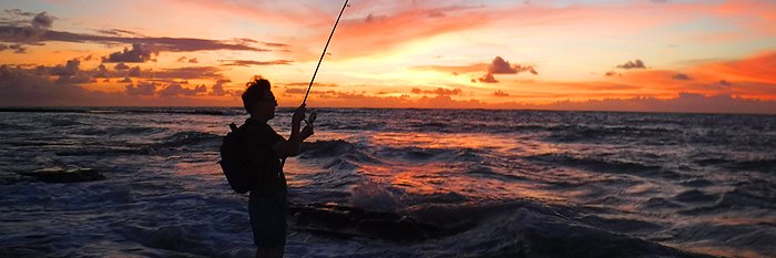 Richard Ladle banner