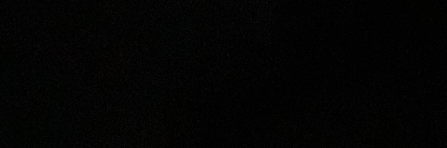 NamInPosterum's profile banner image