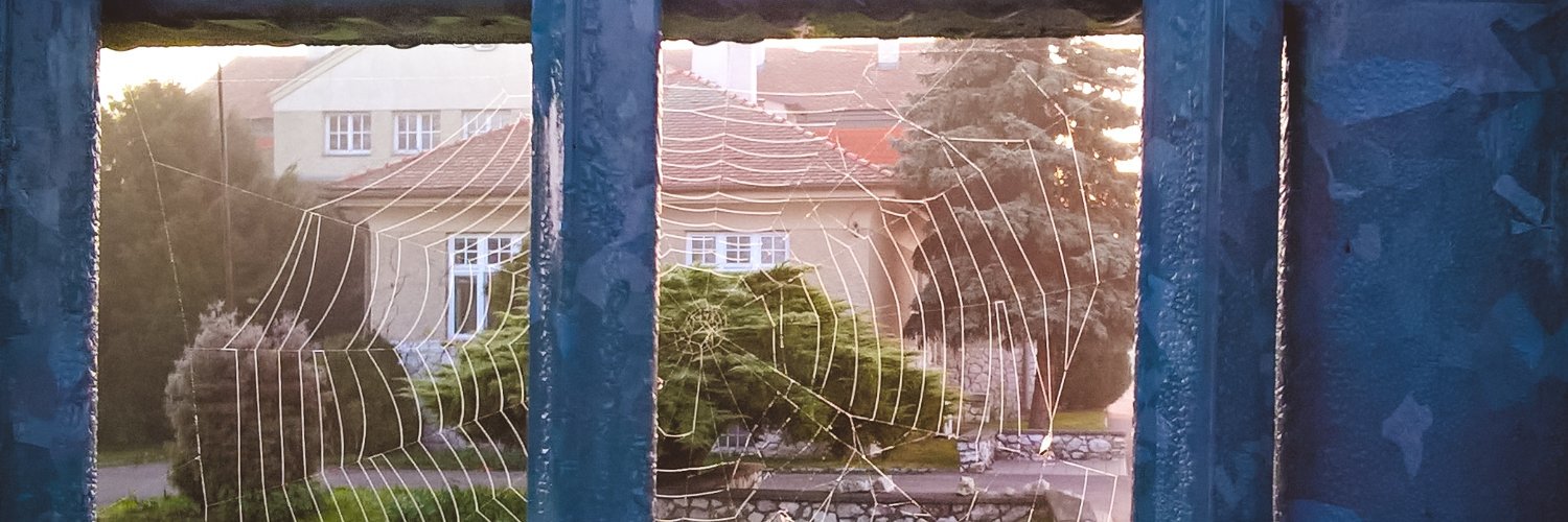 Usaleva1's profile banner image